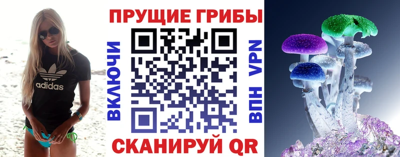 где найти   blacksprut зеркало  Галлюциногенные грибы Magic Shrooms  Калининец 